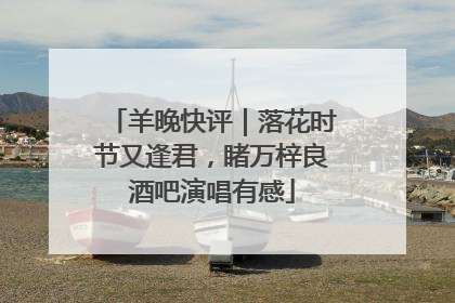 羊晚快评｜落花时节又逢君，睹万梓良酒吧演唱有感