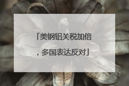 美钢铝关税加倍，多国表达反对