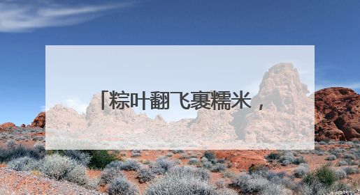 粽叶翻飞裹糯米，包出温馨邻里情