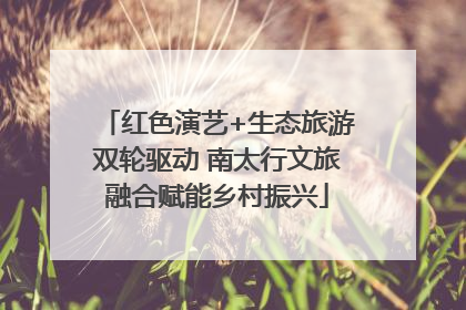 红色演艺+生态旅游双轮驱动 南太行文旅融合赋能乡村振兴