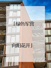 绿色军营 向阳花开