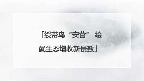 绶带鸟“安营” 绘就生态增收新景致