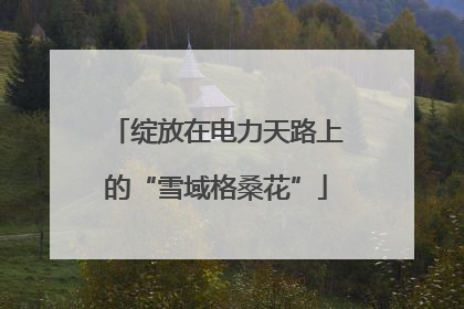 绽放在电力天路上的“雪域格桑花”