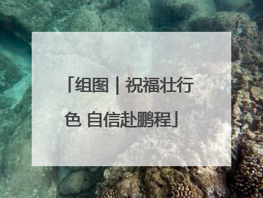 组图｜祝福壮行色 自信赴鹏程