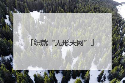 织就“无形天网”