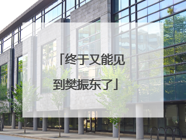 终于又能见到樊振东了