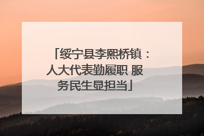 绥宁县李熙桥镇：人大代表勤履职 服务民生显担当