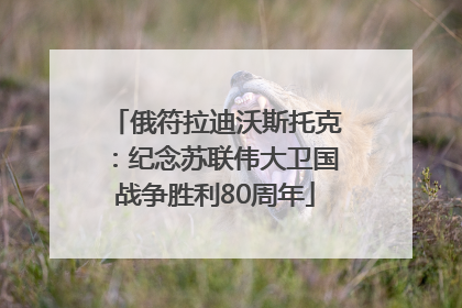 俄符拉迪沃斯托克：纪念苏联伟大卫国战争胜利80周年