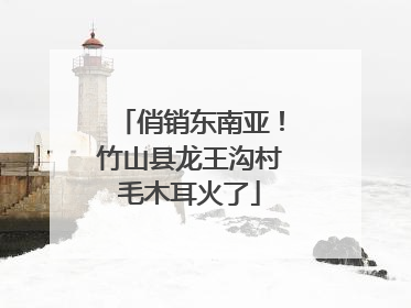 俏销东南亚！竹山县龙王沟村毛木耳火了