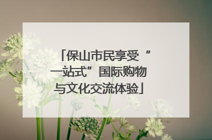 保山市民享受“一站式”国际购物与文化交流体验
