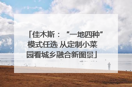 佳木斯：“一地四种” 模式任选 从定制小菜园看城乡融合新图景