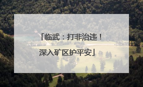 临武：打非治违！深入矿区护平安