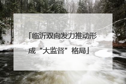 临沂双向发力推动形成“大监督”格局