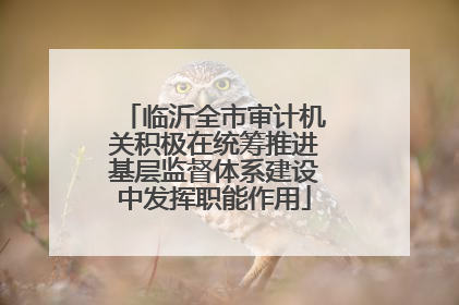 临沂全市审计机关积极在统筹推进基层监督体系建设中发挥职能作用