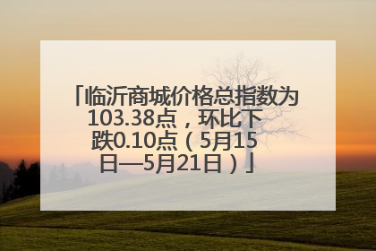 临沂商城价格总指数为103.38点，环比下跌0.10点（5月15日—5月21日）
