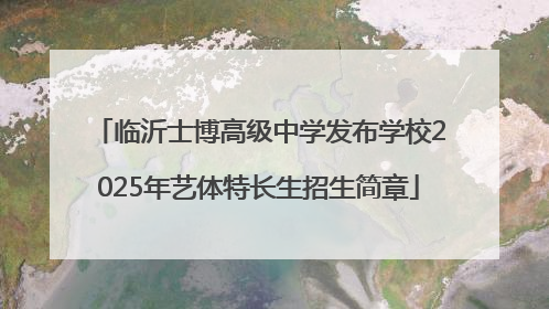 临沂士博高级中学发布学校2025年艺体特长生招生简章