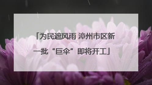 为民遮风雨 漳州市区新一批“巨伞”即将开工