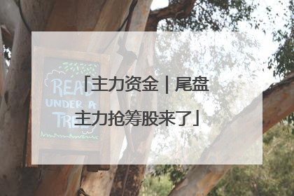 主力资金｜尾盘主力抢筹股来了