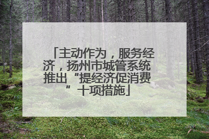 主动作为，服务经济，扬州市城管系统推出“提经济促消费”十项措施