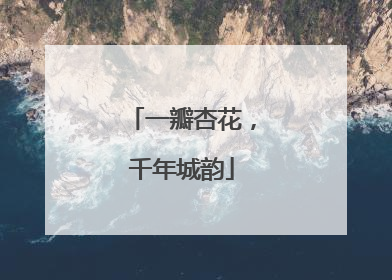 一瓣杏花，千年城韵