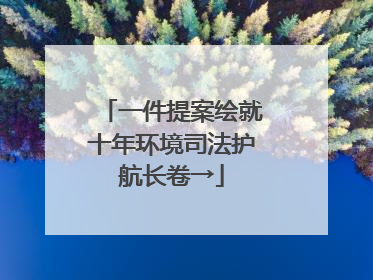 一件提案绘就十年环境司法护航长卷→