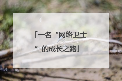 一名“网络卫士”的成长之路