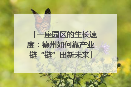 一座园区的生长速度：德州如何靠产业链“链”出新未来