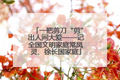 一把剪刀“剪”出人间大爱——记全国文明家庭常凤灵、徐长国家庭