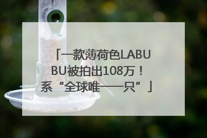 一款薄荷色LABUBU被拍出108万！系“全球唯一一只”