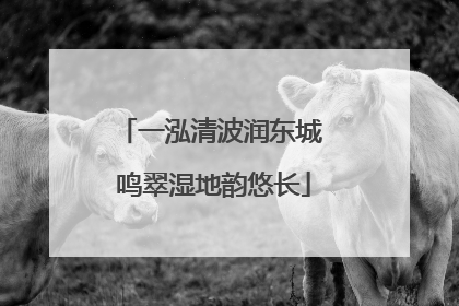 一泓清波润东城 鸣翠湿地韵悠长