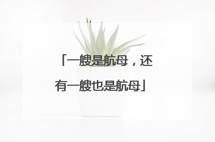 一艘是航母，还有一艘也是航母
