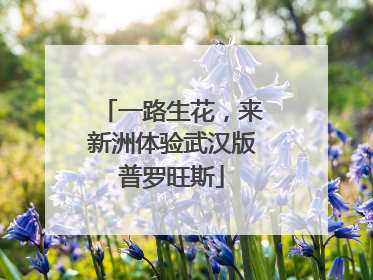 一路生花，来新洲体验武汉版普罗旺斯