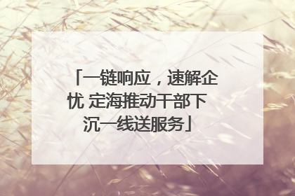 一链响应，速解企忧 定海推动干部下沉一线送服务