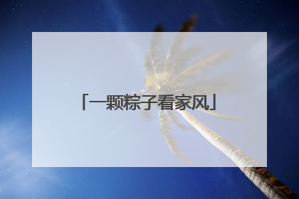 一颗粽子看家风