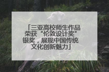 三亚高校师生作品荣获“伦敦设计奖”银奖，展现中国传统文化创新魅力