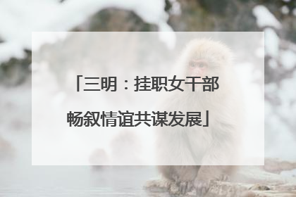三明：挂职女干部畅叙情谊共谋发展