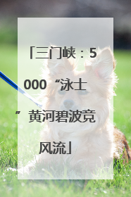 三门峡：5000“泳士”黄河碧波竞风流