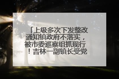 上级多次下发整改通知镇政府不落实，被市委巡察组抓现行！吉林一副镇长受党内警告处分