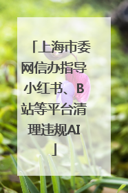 上海市委网信办指导小红书、B站等平台清理违规AI