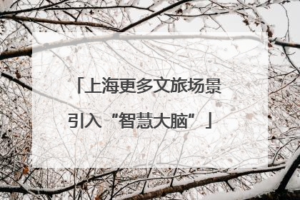 上海更多文旅场景引入“智慧大脑”
