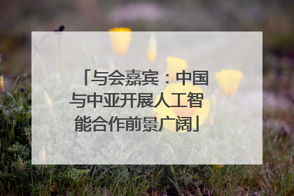 与会嘉宾：中国与中亚开展人工智能合作前景广阔