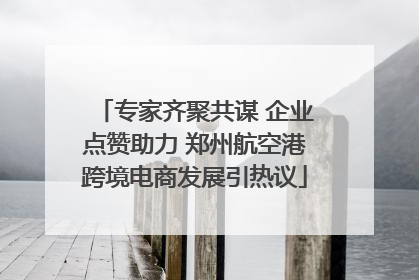 专家齐聚共谋 企业点赞助力 郑州航空港跨境电商发展引热议