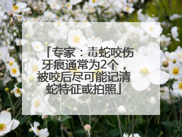 专家：毒蛇咬伤牙痕通常为2个，被咬后尽可能记清蛇特征或拍照