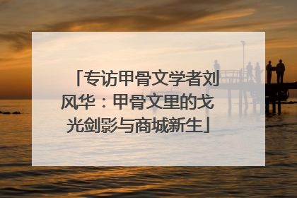 专访甲骨文学者刘风华：甲骨文里的戈光剑影与商城新生