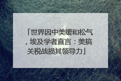 世界因中美缓和松气，埃及学者直言：美搞关税战损其领导力