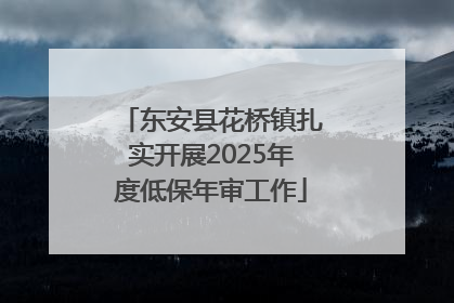 东安县花桥镇扎实开展2025年度低保年审工作