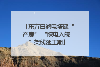 东方白鹳电塔建“产房” “陕电入皖”架线延工期