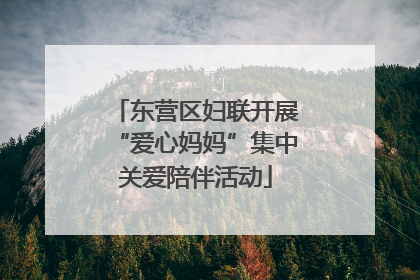 东营区妇联开展“爱心妈妈”集中关爱陪伴活动