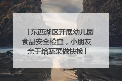 东西湖区开展幼儿园食品安全检查，小朋友亲手给蔬菜做快检