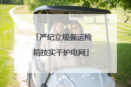 严纪立规强运检 精技实干护电网